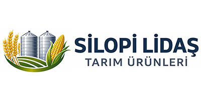 SİLOPİ LİDAŞ