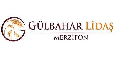 MERZİFON GÜLBAHAR LİDAŞ logosu